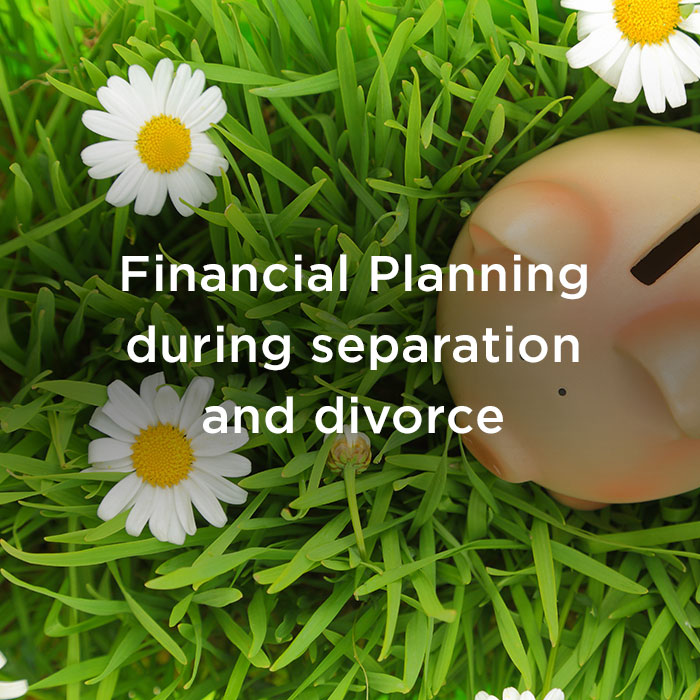 Show me the Money- Financial Planning during divorce and Separation