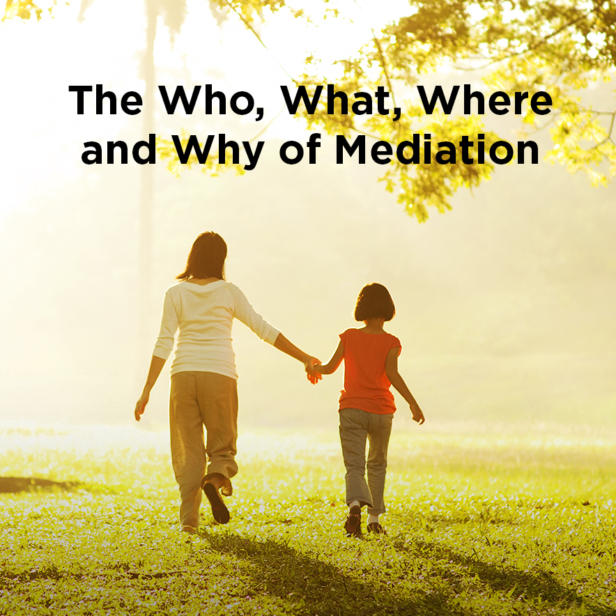 The Who, What, Where and Why of Mediation